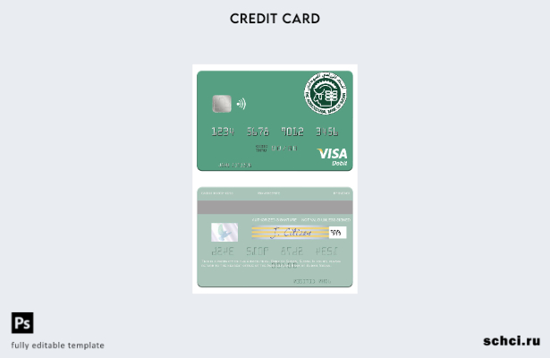 цифровая загрузка Судан Шаблон дебетовой карты Visa Сельскохозяйственного банка 